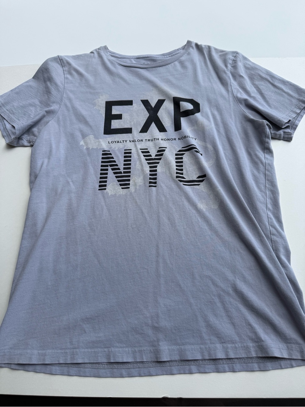Express Menβs Blue NYC Graphic Print Crew Neck Short Sleeve Cotton Jersey Tee M